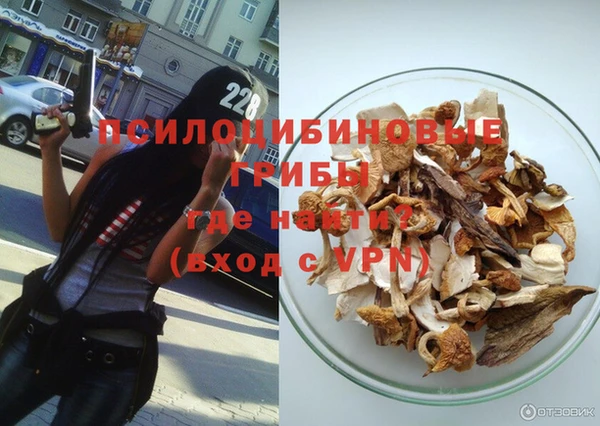 СК Алексин