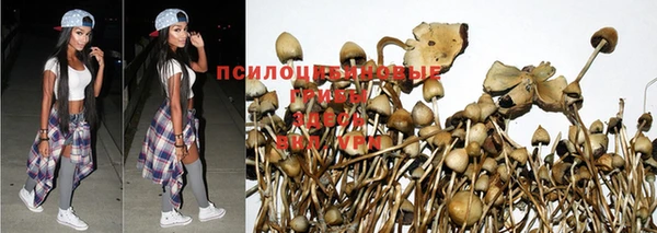 СК Алексин