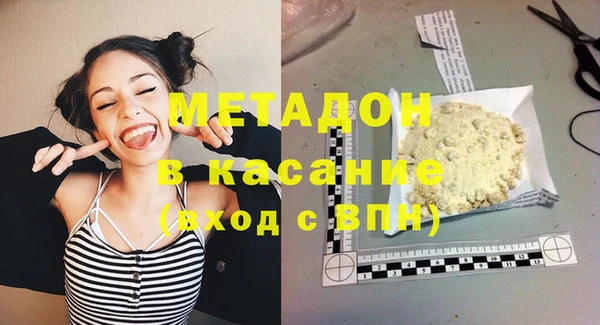 индика Алзамай