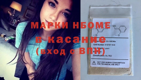 индика Алзамай