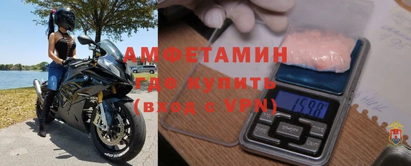 СК Алексин