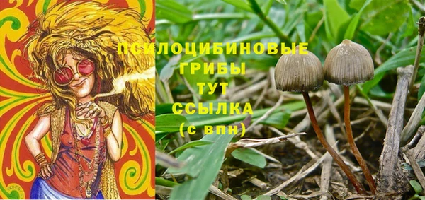 МДПВ Абинск